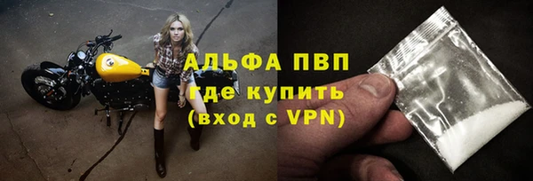 амф Богданович