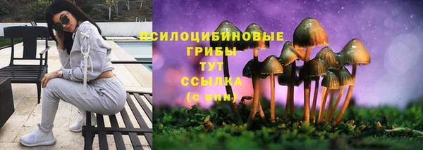 амф Богданович