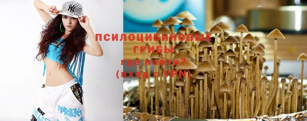 каннабис Богородицк