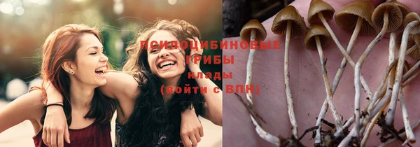 амф Богданович