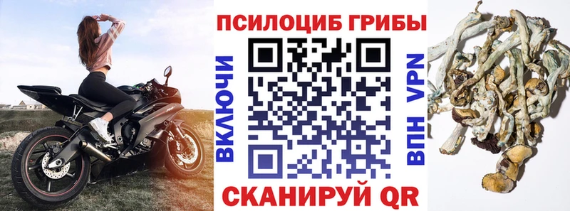 мега ONION  Болотное  Псилоцибиновые грибы прущие грибы  купить наркоту 